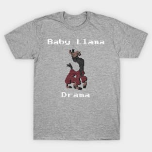 Video Game Kuzco T-Shirt